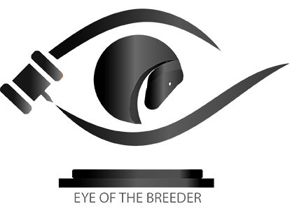 eye_of_breeder_logo