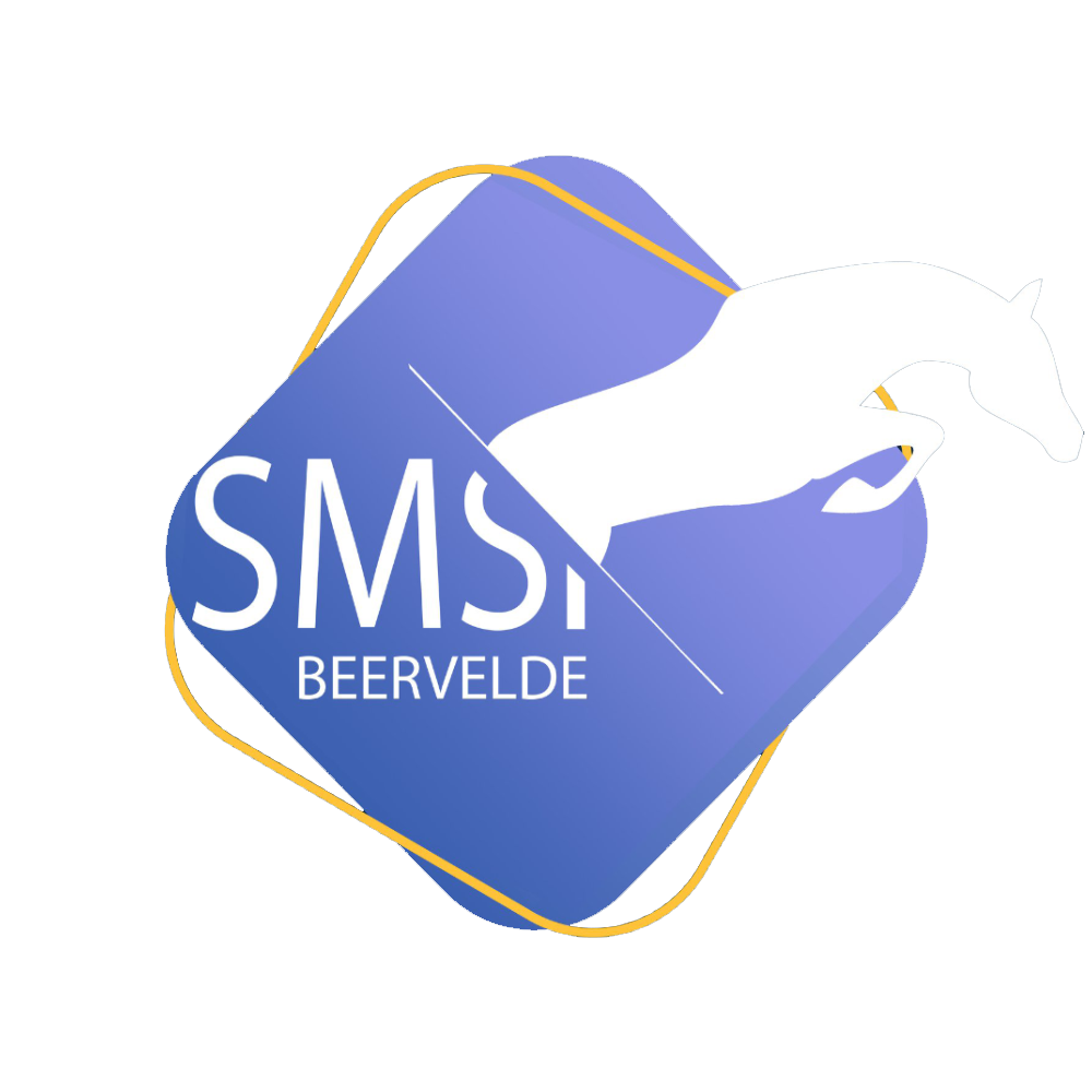 logo_smsgs